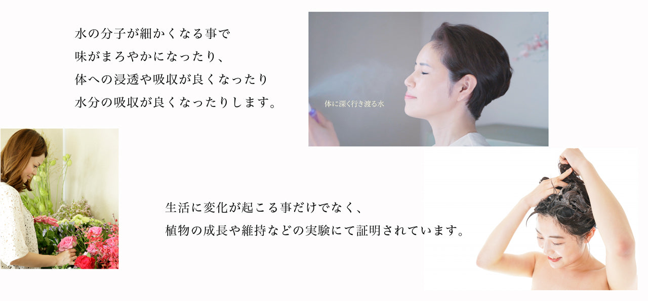 Emmaコースター