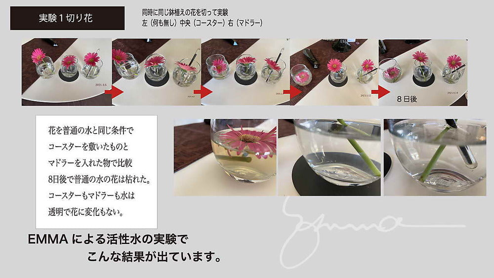 Emmaコースター