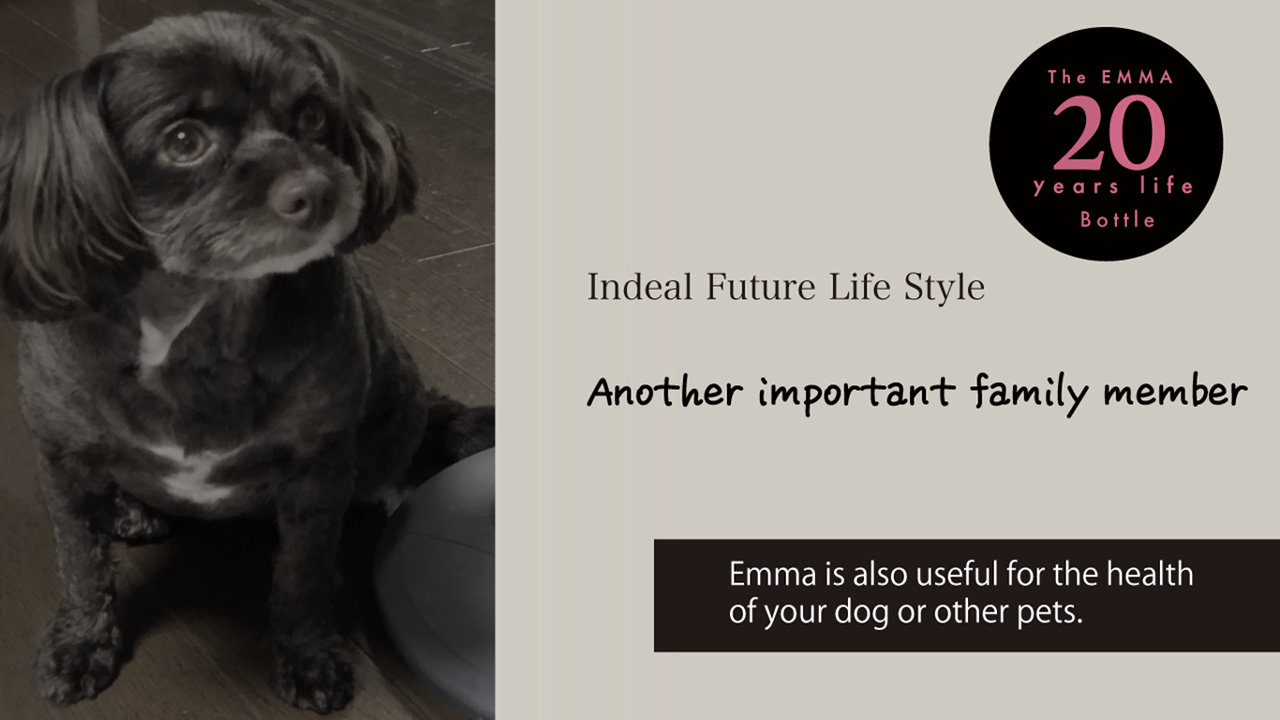 Similar to antioxidant foods like sesame, garlic, and clams, it has gained attention for its potential in promoting health and anti-aging. Activated water is also associated with negative ions, contributing to fatigue recovery and boosting immunity. Here, we will focus on activated water and its antioxidant effects. Antioxidant Properties of Activated Water Activated water is a special type of water with antioxidant properties.