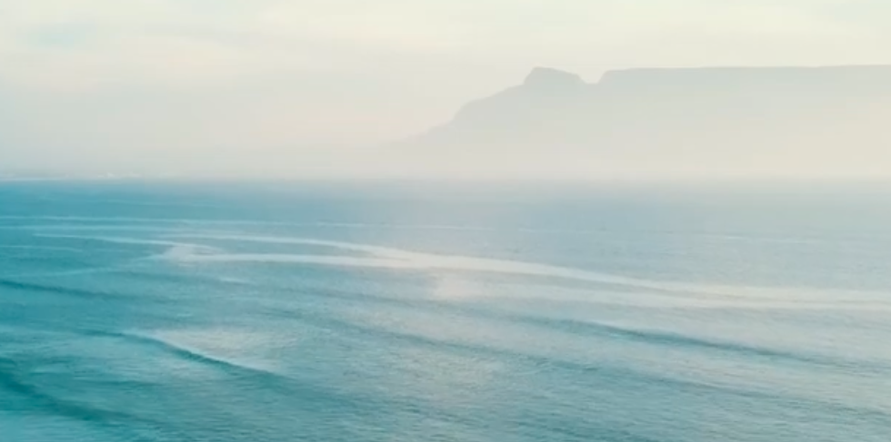 2022年11月EmmaJapanコマーシャル動画政策決定